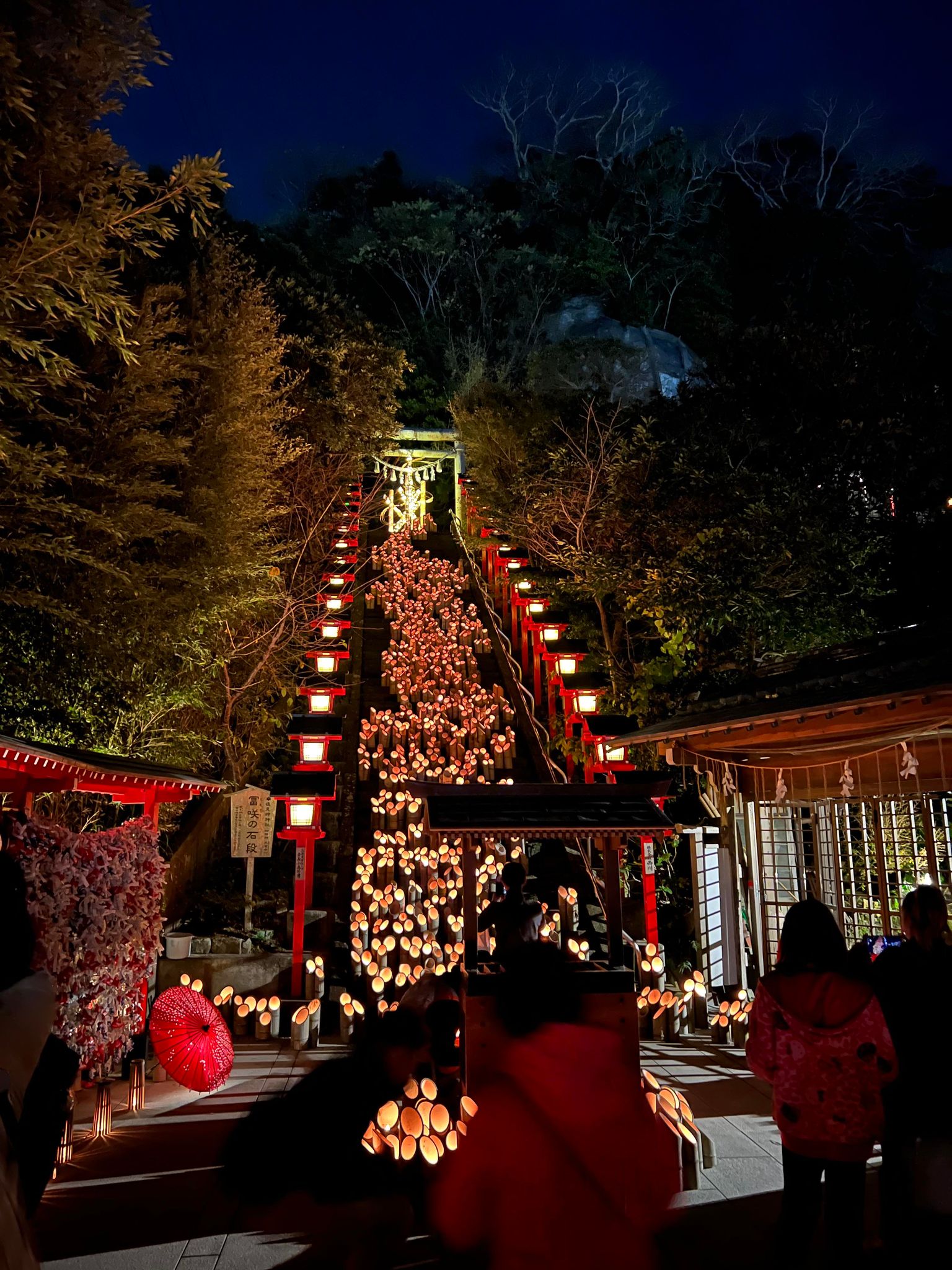 勝浦イベント情報】かぐやの宵 11月24日・25日 – 勝浦キャンプ協会